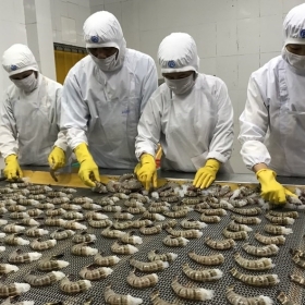 Nhập Mẫu Dịch Vụ Website Xuất Khẩu Lao Động 28